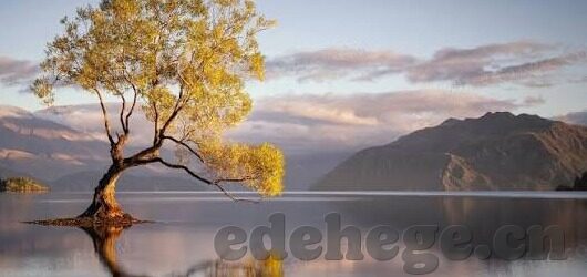 天堂伦理eeuss2012中文-探索天堂伦理的边界，EEUSS2012中文视角下的深度思考
